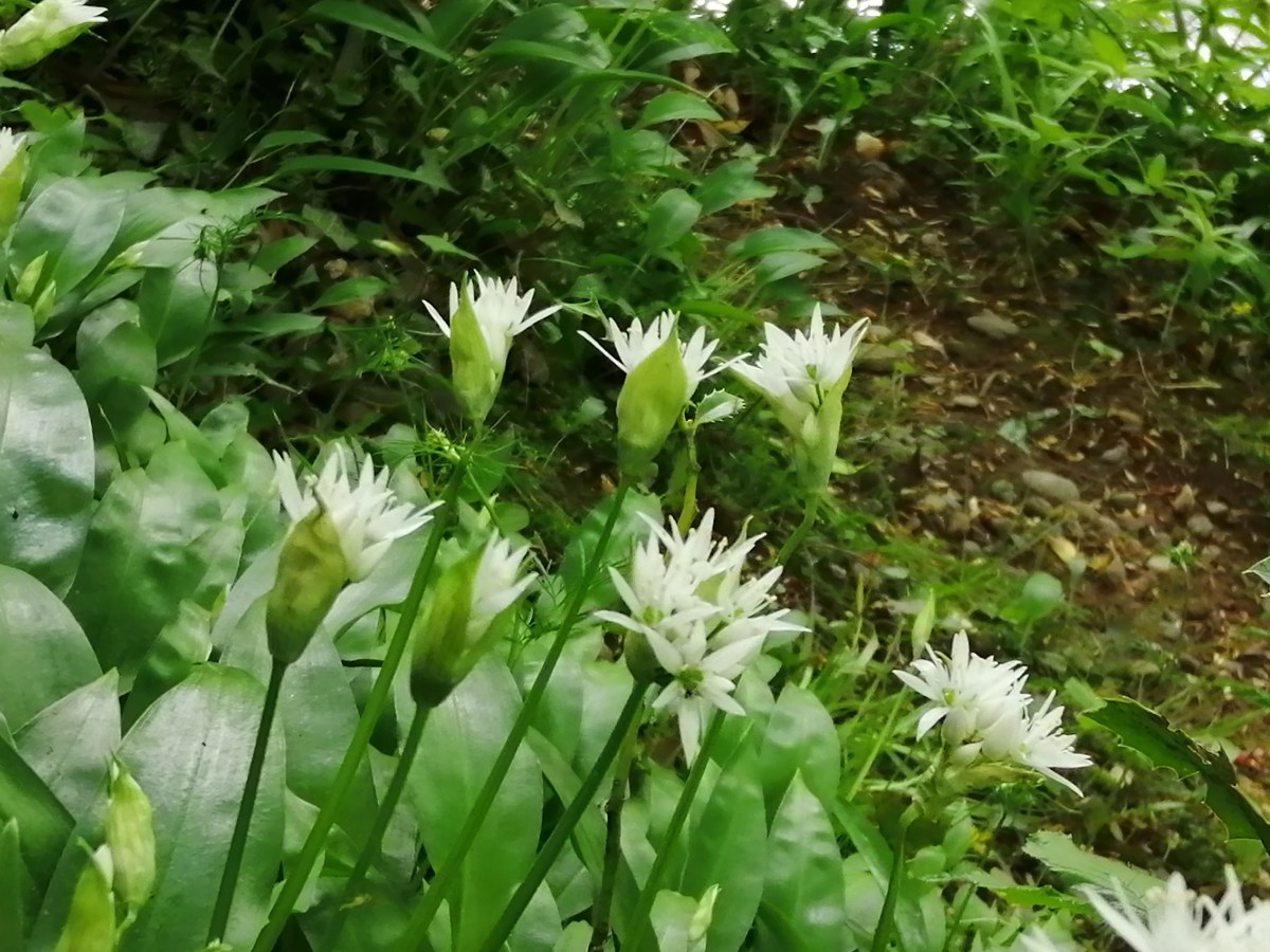 Back in my happy&nbsp;place!