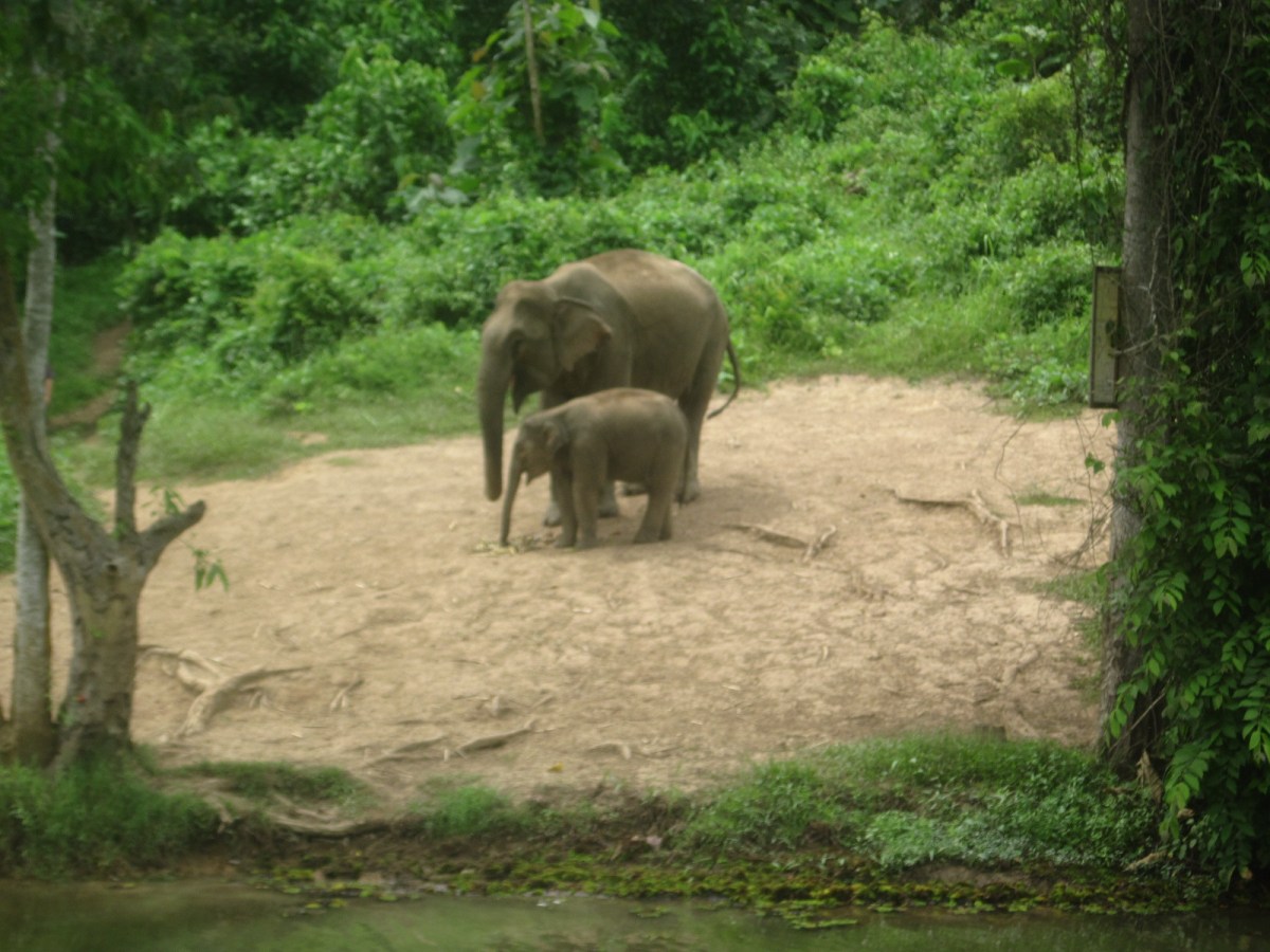 Sorry it’s been a&nbsp;while…